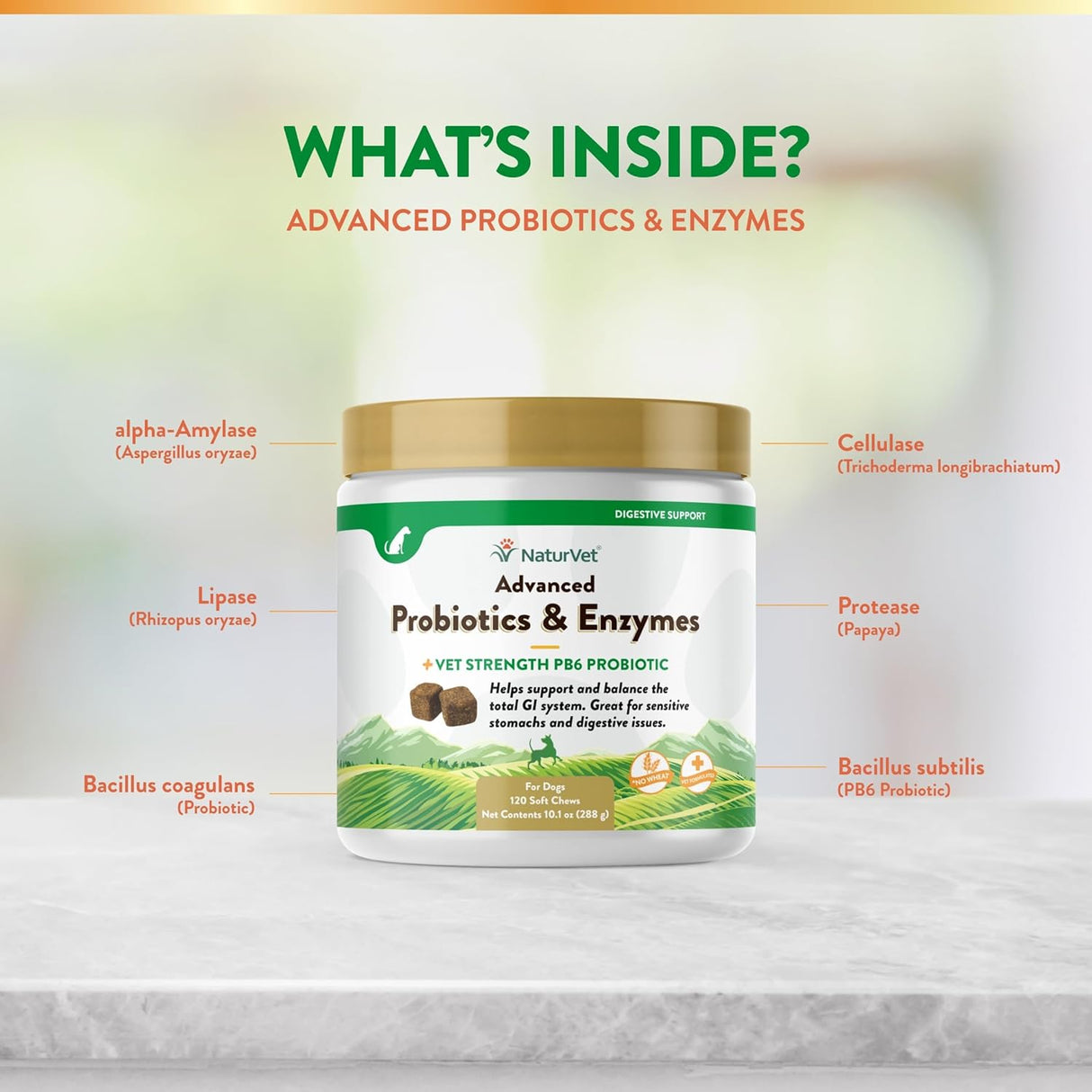 NaturVet Advanced Probiotics and Enzymes 120 Masticables