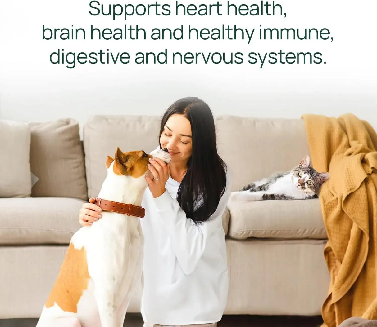 PAWTREE - pawTree Salmon Oil-Dog 458Ml. - The Red Vitamin MX - Aceite De Pescado Para Perros - {{ shop.shopifyCountryName }}