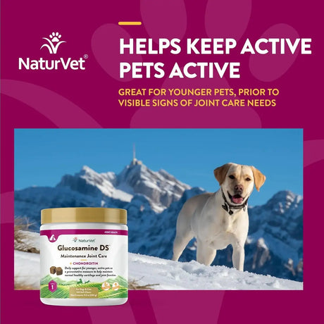 NATURVET - NaturVet Glucosamine DS Level 1 Maintenance 120 Masticables - The Red Vitamin MX - Cuidado De Cadera Y Articulaciones Para Perros - {{ shop.shopifyCountryName }}