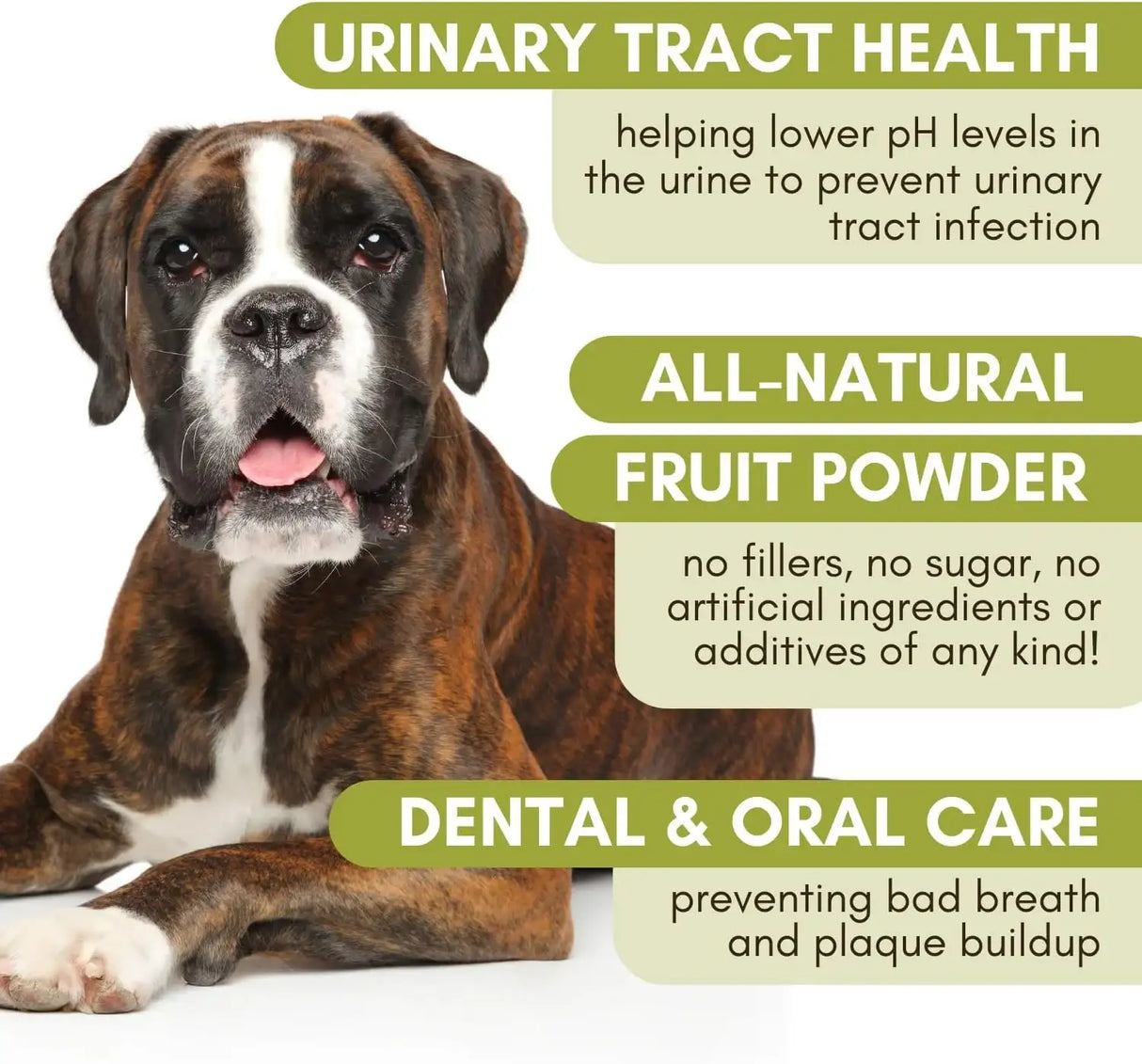 WHOLISTIC PET ORGANICS - Wholistic Pet Organics WholeCran Intense: Organic Cranberry Powder for Dogs 28Gr. - The Red Vitamin MX - Salud De Tracto Urinario Para Perros - {{ shop.shopifyCountryName }}