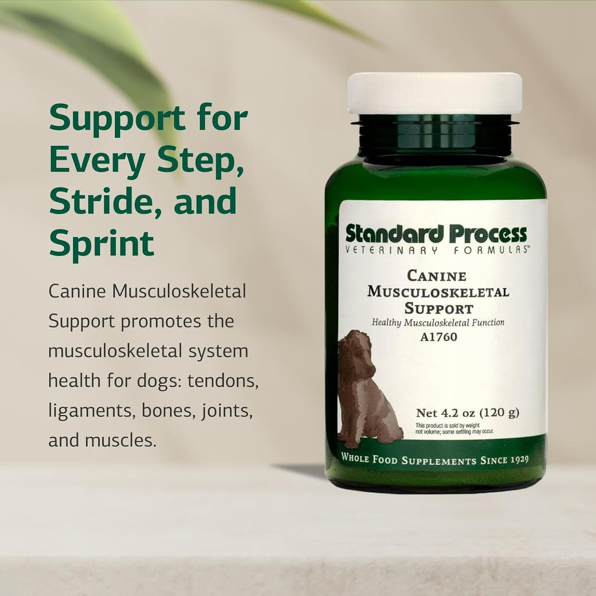 Standard Process Canine Musculoskeletal Support 120Gr.