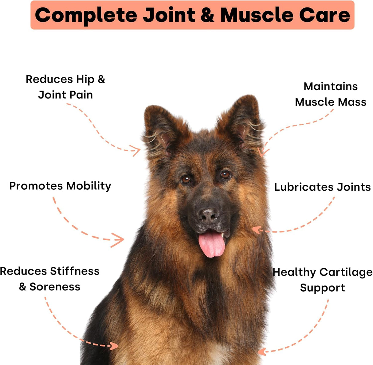 Kayode Joint & Recovery 2-in-1 Joint & Muscle Chews 90 Masticables
