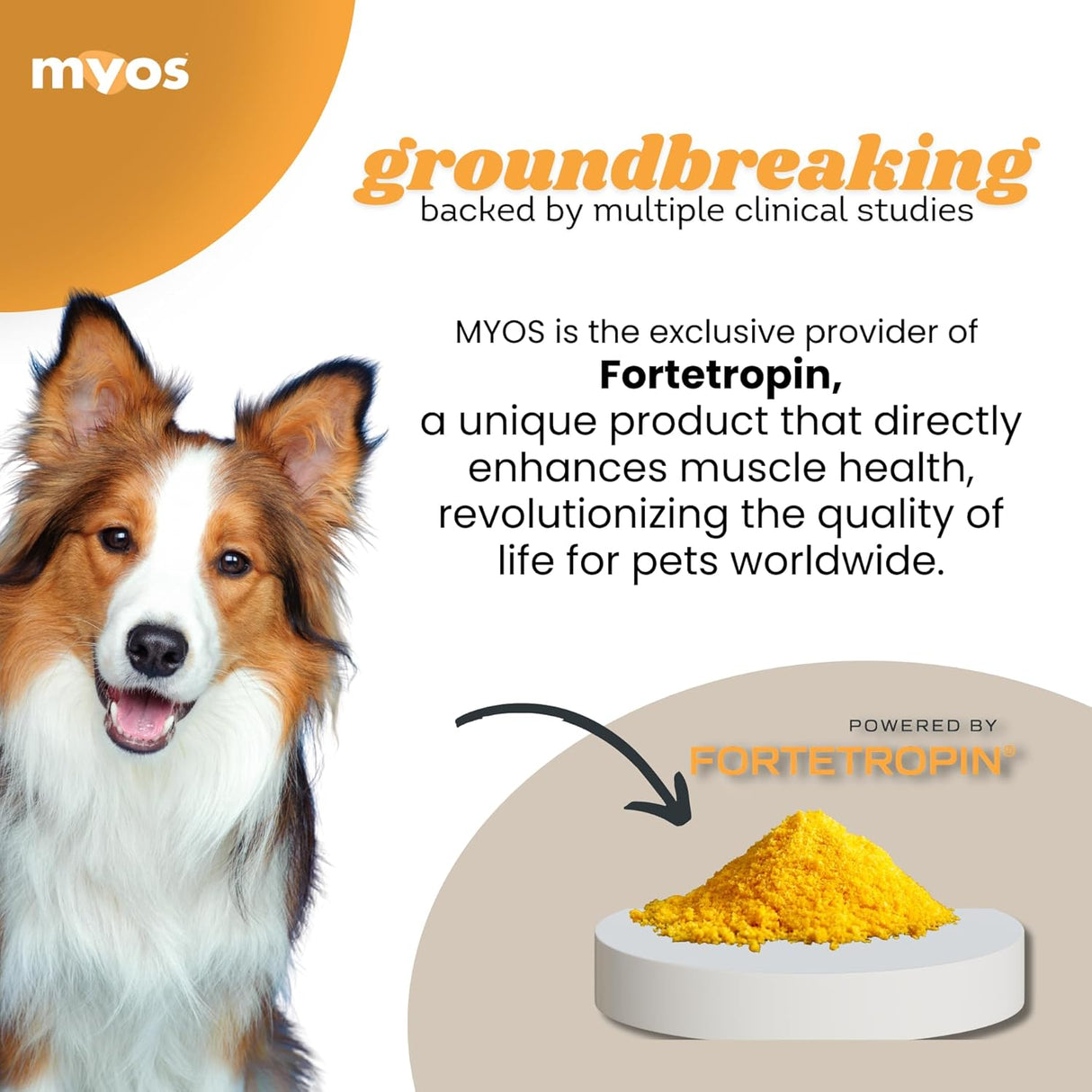 MYOS Canine Muscle Formula All-Natural Muscle Building Supplement 180Gr.