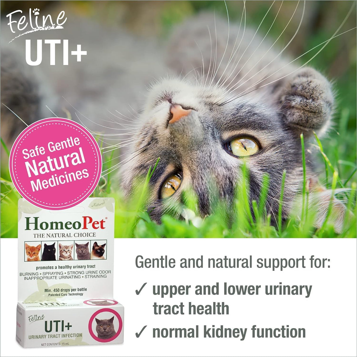 HomeoPet Feline UTI Plus Safe and Natural Urinary Tract Supplement for Cats 15Ml. 2 Pack