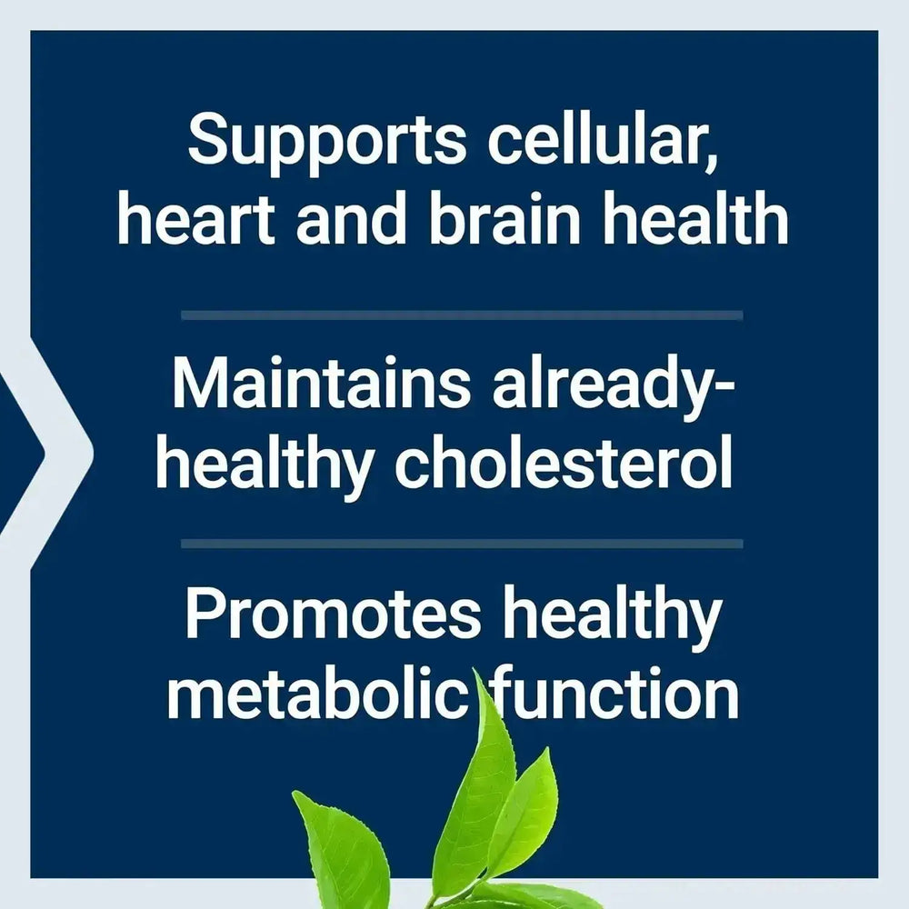 LIFE EXTENSION - Life Extension Decaffeinated Mega Green Tea Extract 100 Capsulas - The Red Vitamin MX - Suplementos Alimenticios - {{ shop.shopifyCountryName }}