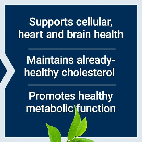 LIFE EXTENSION - Life Extension Decaffeinated Mega Green Tea Extract 100 Capsulas - The Red Vitamin MX - Suplementos Alimenticios - {{ shop.shopifyCountryName }}