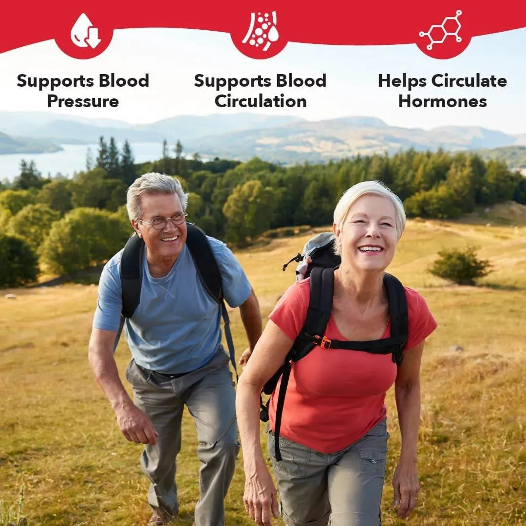 LIFE SEASONS - LifeSeasons B/P Stabili-T Blood Pressure Support 120 Capsulas - The Red Vitamin MX - Suplementos Alimenticios - {{ shop.shopifyCountryName }}