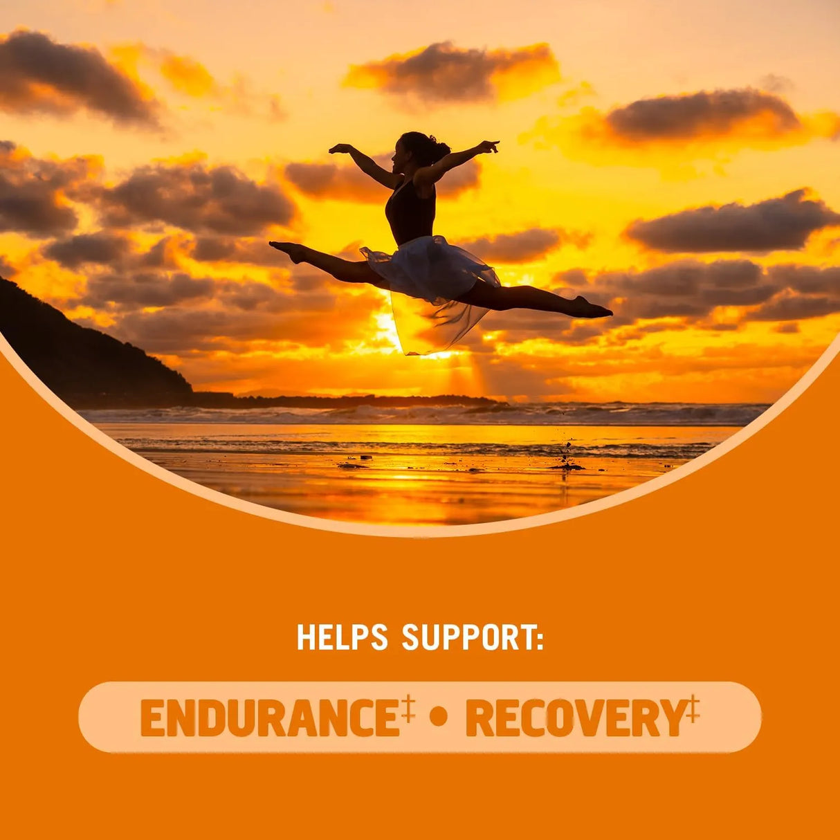 OM - OM MUSHROOM SUPERFOOD Cordyceps Gummies 60 Gomitas - The Red Vitamin MX - Suplementos Alimenticios - {{ shop.shopifyCountryName }}