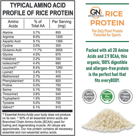 GROWING NATURALS - Growing Naturals Organic Rice Protein Powder 15g Vanilla Blast 32.8 Oz. - The Red Vitamin MX - Suplementos Alimenticios - {{ shop.shopifyCountryName }}