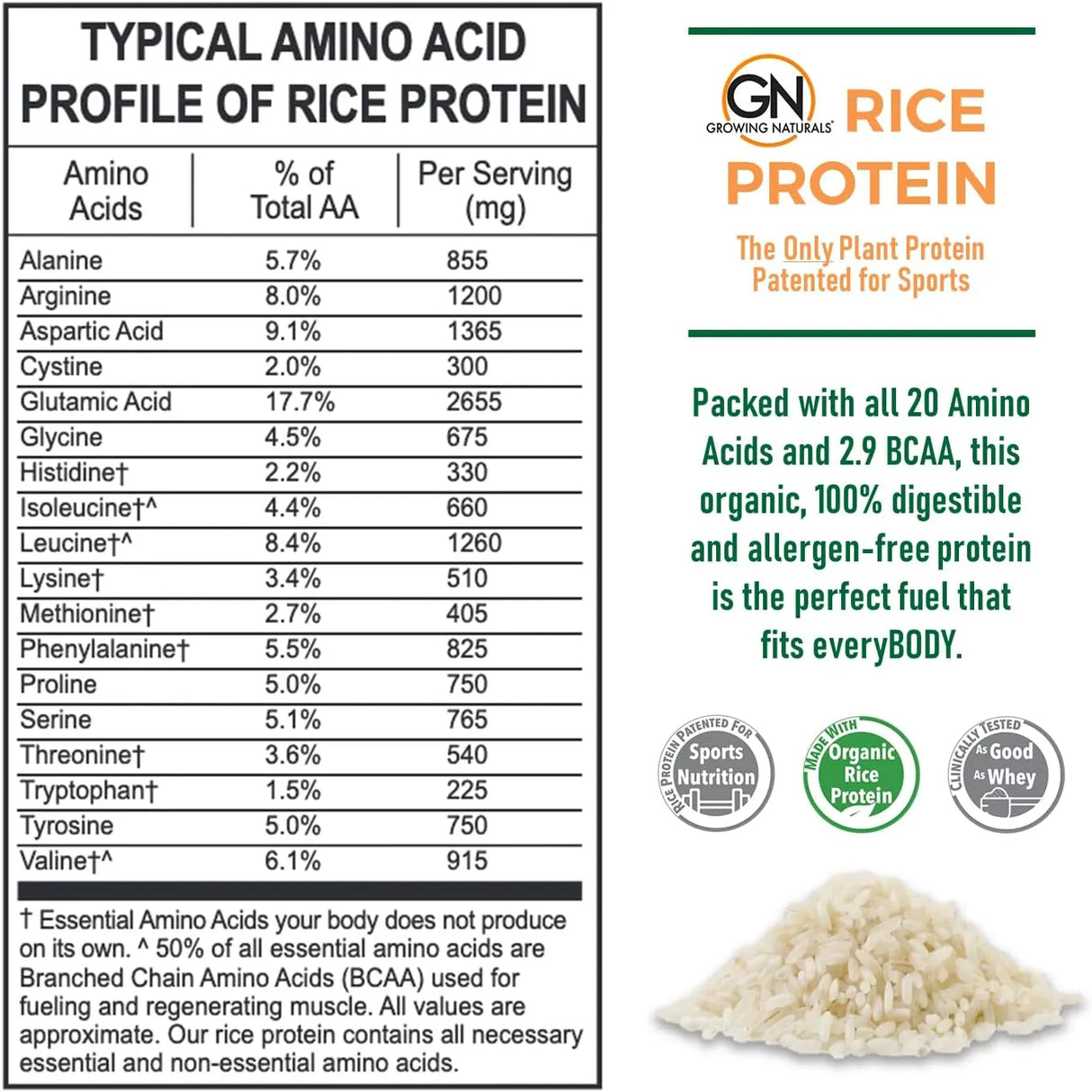 GROWING NATURALS - Growing Naturals Organic Rice Protein Powder 15g Chocolate 490Gr. - The Red Vitamin MX - Suplementos Alimenticios - {{ shop.shopifyCountryName }}