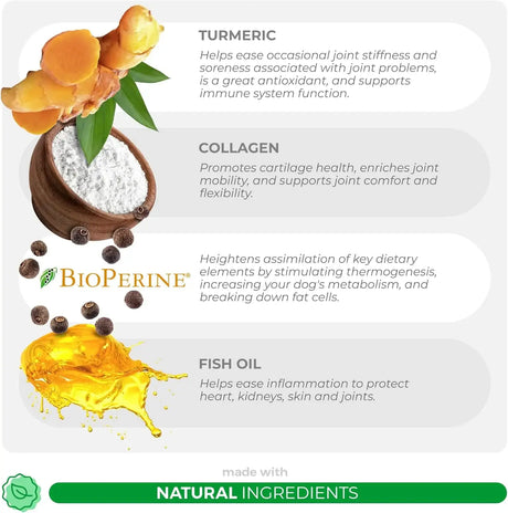 COCO AND LUNA - Coco and Luna Turmeric Curcumin for Dogs 90 Masticables - The Red Vitamin MX - Cuidado De Cadera Y Articulaciones Para Perros - {{ shop.shopifyCountryName }}