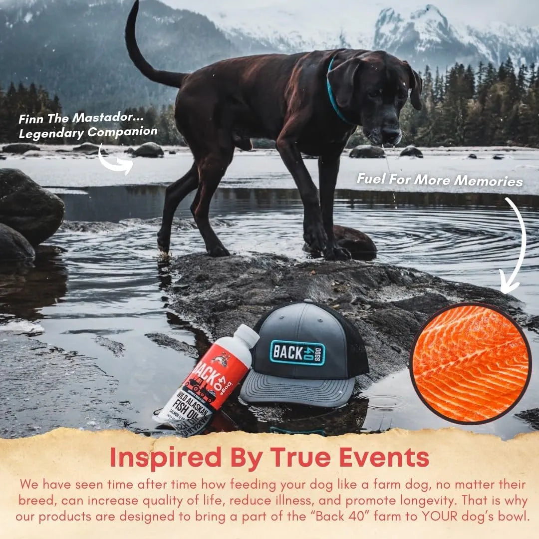 BACK 40 DOGS - Back 40 Dogs Wild Alaskan Fish Oil for Dogs 16 Fl.Oz. - The Red Vitamin MX - Aceite De Pescado Para Perros - {{ shop.shopifyCountryName }}