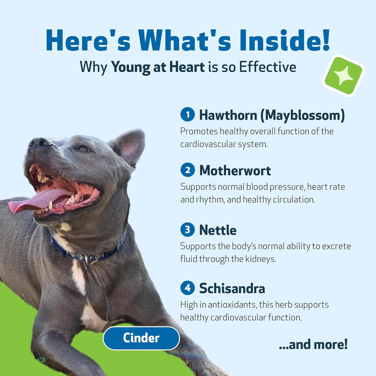 Pet Wellbeing Young at Heart for Dogs 2 Fl.Oz.