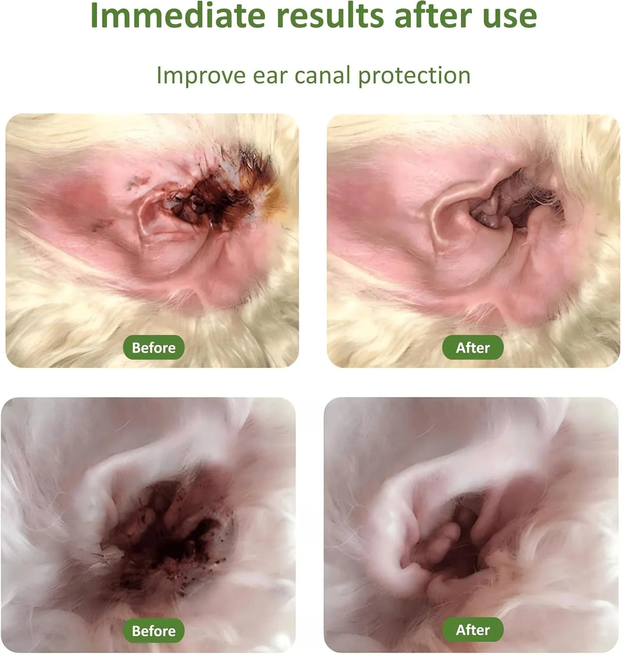 WOLFTAIL - Wolftail Dog Ear Cleaner 4 Fl.Oz. - The Red Vitamin MX - Cuidado Del Oído De Perros - {{ shop.shopifyCountryName }}