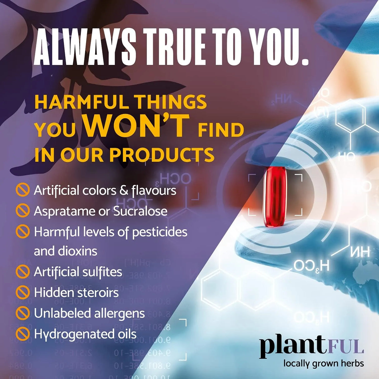 PLANTFUL RESEARCH - PLANTFUL RESEARCH Adrenal Support & Cortisol Manager 60 Capsulas - The Red Vitamin MX - Suplementos Alimenticios - {{ shop.shopifyCountryName }}