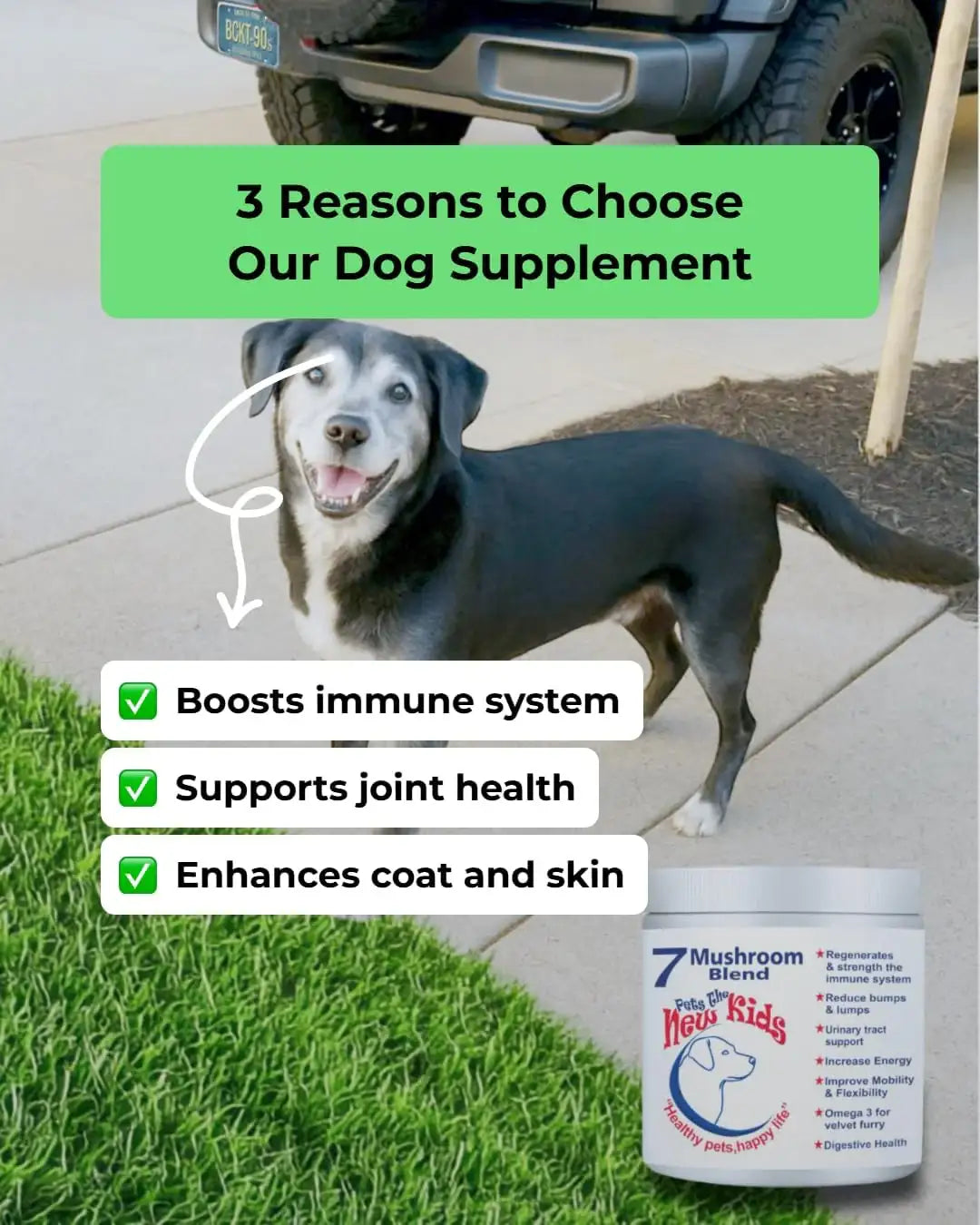 PET'S THE NEW KIDS - Pet's: The New Kids 7 Mushroom Blend Supplement for Dogs 170Gr. - The Red Vitamin MX - Suplementos Herbales Para Perros - {{ shop.shopifyCountryName }}