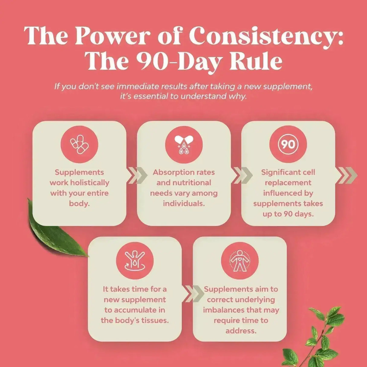 NATURES CRAFT - Natures Craft GSE Grapefruit Seed Extract Liquid 120Ml. - The Red Vitamin MX - Suplementos Alimenticios - {{ shop.shopifyCountryName }}