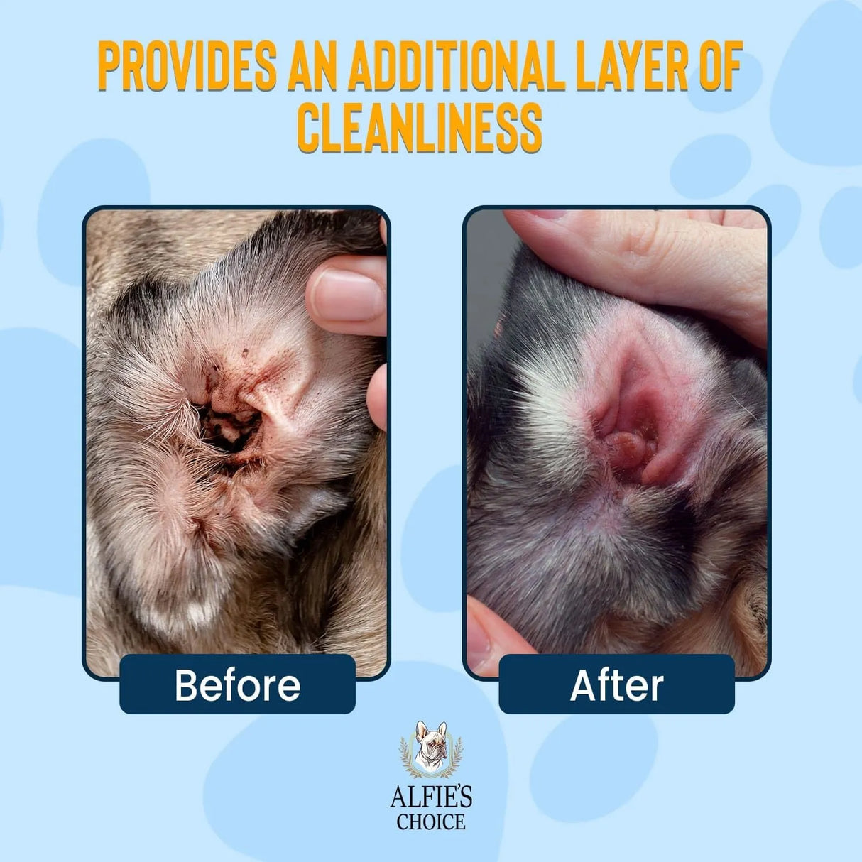 ALFIE'S CHOICE - ALFIE'S CHOICE Dog Ear Wash Cleaner 16 Fl.Oz. - The Red Vitamin MX - Cuidado Del Oído De Perros - {{ shop.shopifyCountryName }}