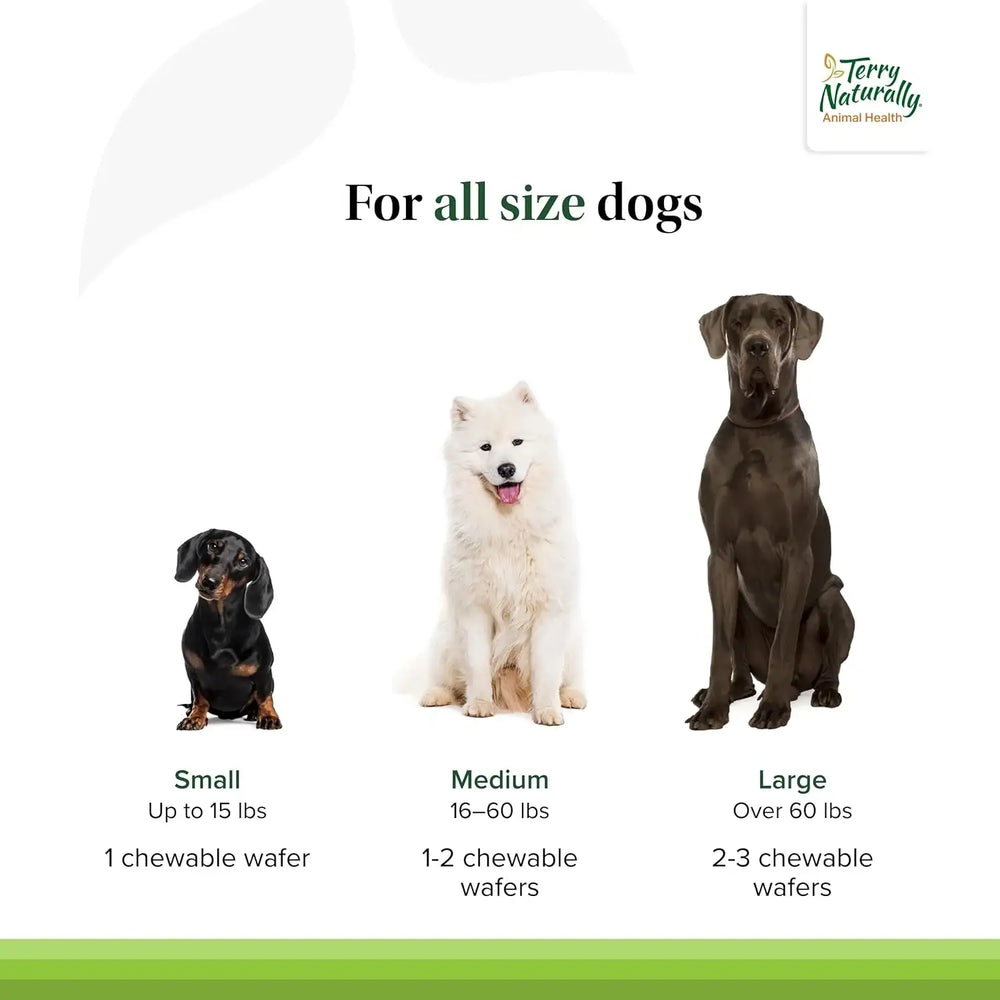 TRUSTWELL PAWMEDICA - Terry Naturally Joint & Hip 60 Masticables - The Red Vitamin MX - Cuidado De Cadera Y Articulaciones Para Perros - {{ shop.shopifyCountryName }}