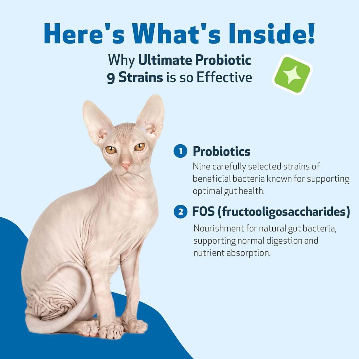 Pet Wellbeing Ultimate Probiotic 9 Strains with Prebiotics for Cats Powder 160Gr.