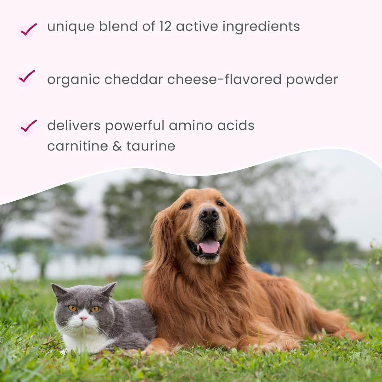 Bark & Whiskers Heart Health for Dogs & Cats 90 Servicios 90Gr.