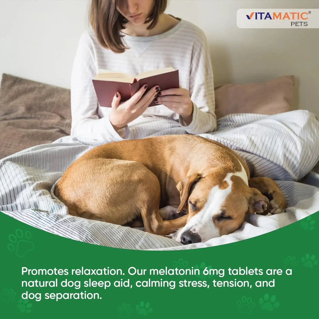 VITAMATIC - Vitamatic Melatonin for Dogs Beef Flavor 6Mg. 120 Tabletas Masticables - The Red Vitamin MX - Relajantes Para Perros - {{ shop.shopifyCountryName }}