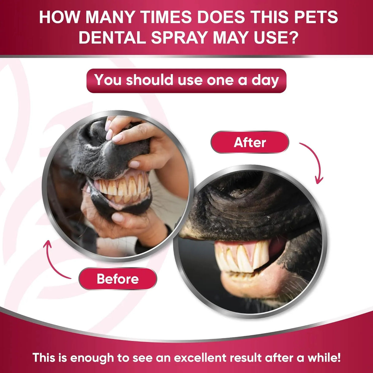 LEACADEMIC - LeAcademic Dog Breath Freshener 118Ml. - The Red Vitamin MX - Cuidado Dental Para Perros - {{ shop.shopifyCountryName }}