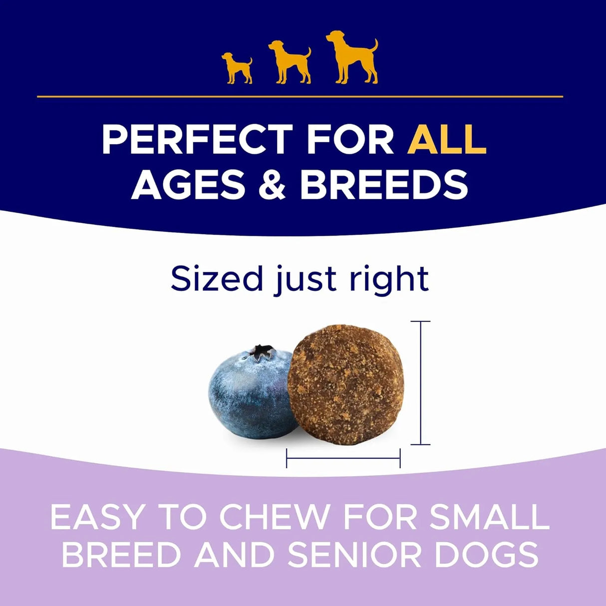 GOODGROWLIES - GOODGROWLIES Probiotics for Dogs Gut Health & Digestive Function 120 Masticables - The Red Vitamin MX - Probióticos Para Perros - {{ shop.shopifyCountryName }}