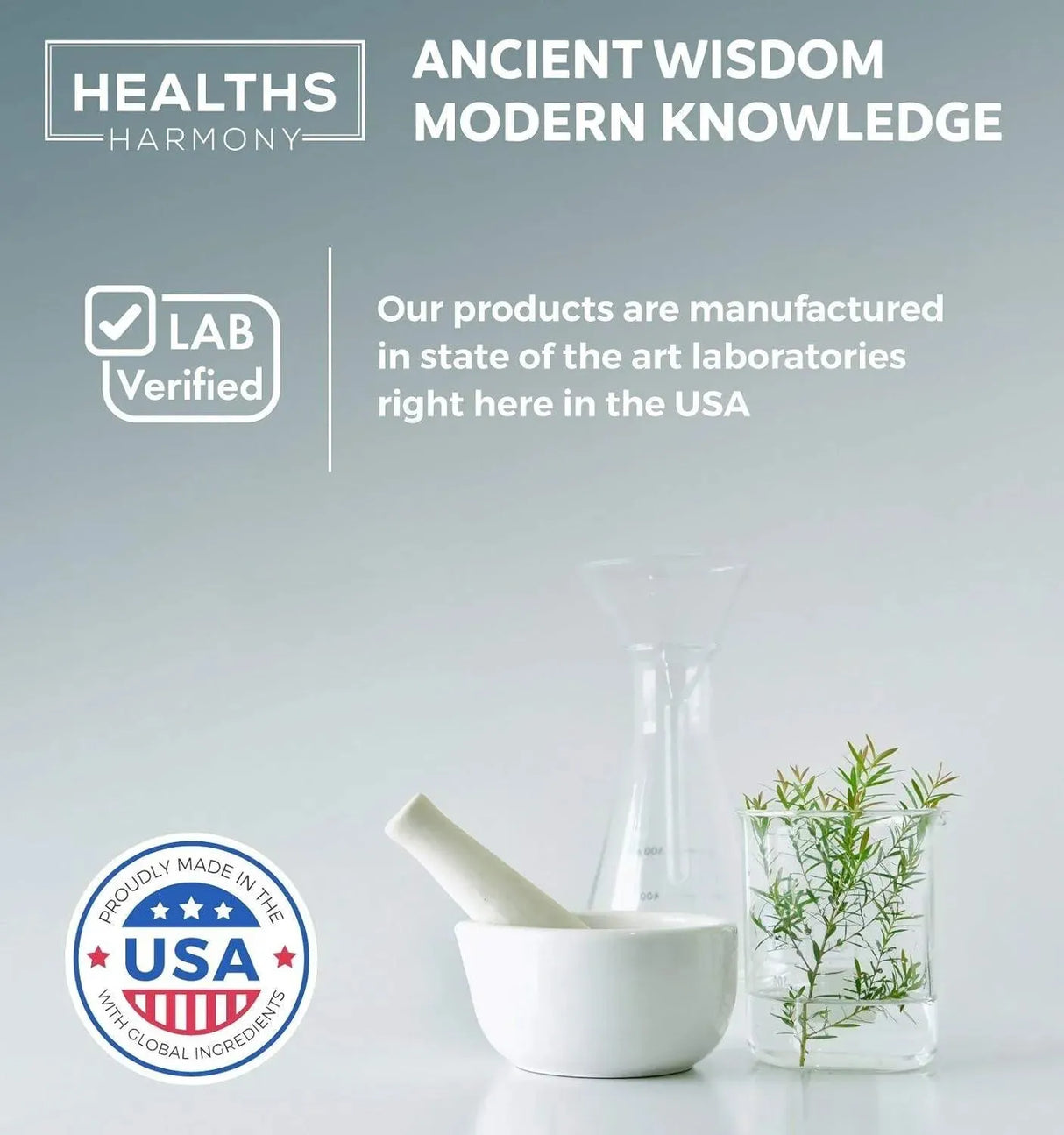 HEALTHS HARMONY - Healths Harmony Blood Pressure Support 90 Capsulas - The Red Vitamin MX - Suplementos Alimenticios - {{ shop.shopifyCountryName }}