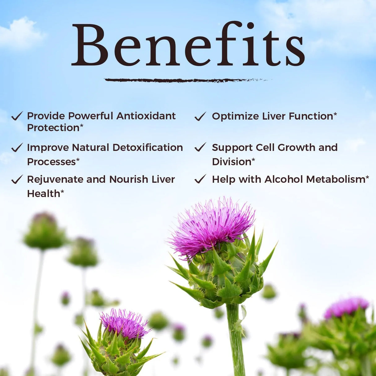 VITALITOWN - Vitalitown Milk Thistle Complex 600Mg. 60 Capsulas - The Red Vitamin MX - Suplementos Alimenticios - {{ shop.shopifyCountryName }}