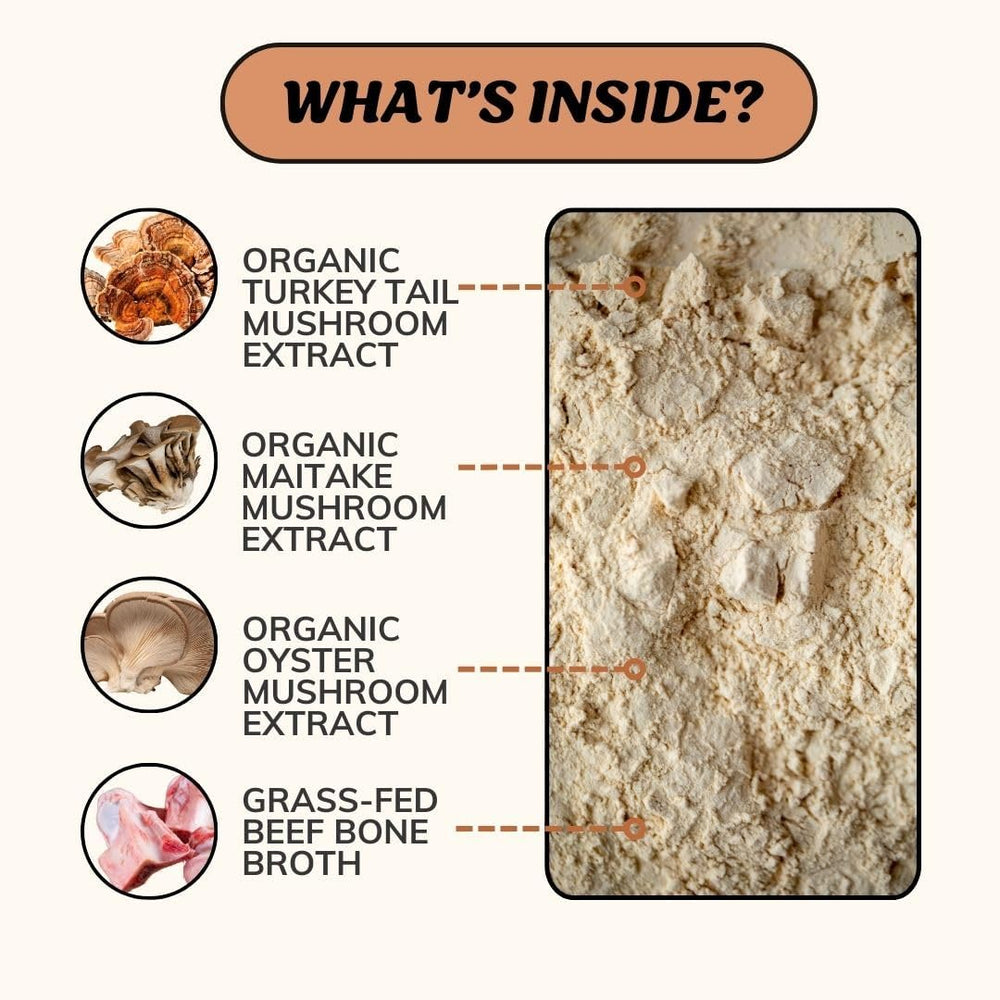 FIDO'S - Fido's Longevity Bone Broth for Dogs Turkey Tail + Maitake Mushroom 60 Servicios 184Gr. - The Red Vitamin MX - Suplementos Herbales Para Perros - {{ shop.shopifyCountryName }}