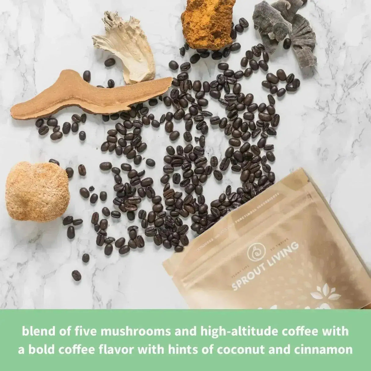 SPROUT LIVING - Sprout Living Epic Protein Plant Based Protein & Superfoods Powder Complete Coffee 456Gr. - The Red Vitamin MX - Suplementos Alimenticios - {{ shop.shopifyCountryName }}