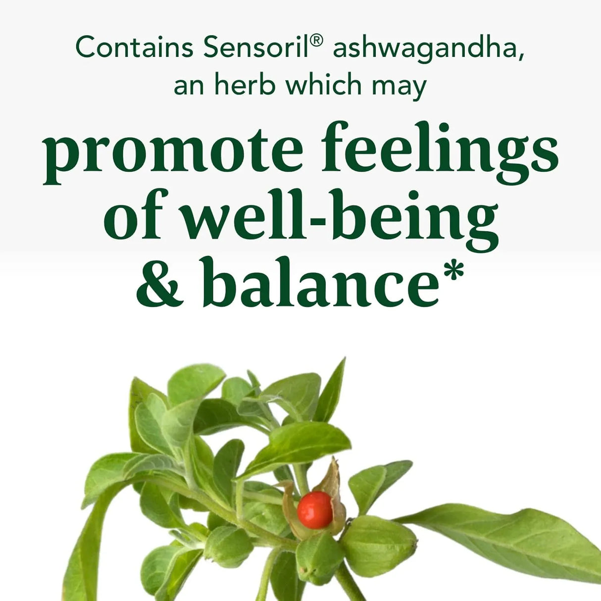 MEGAFOOD - MegaFood Adrenal Strength 90 Tabletas - The Red Vitamin MX - Suplementos Alimenticios - {{ shop.shopifyCountryName }}