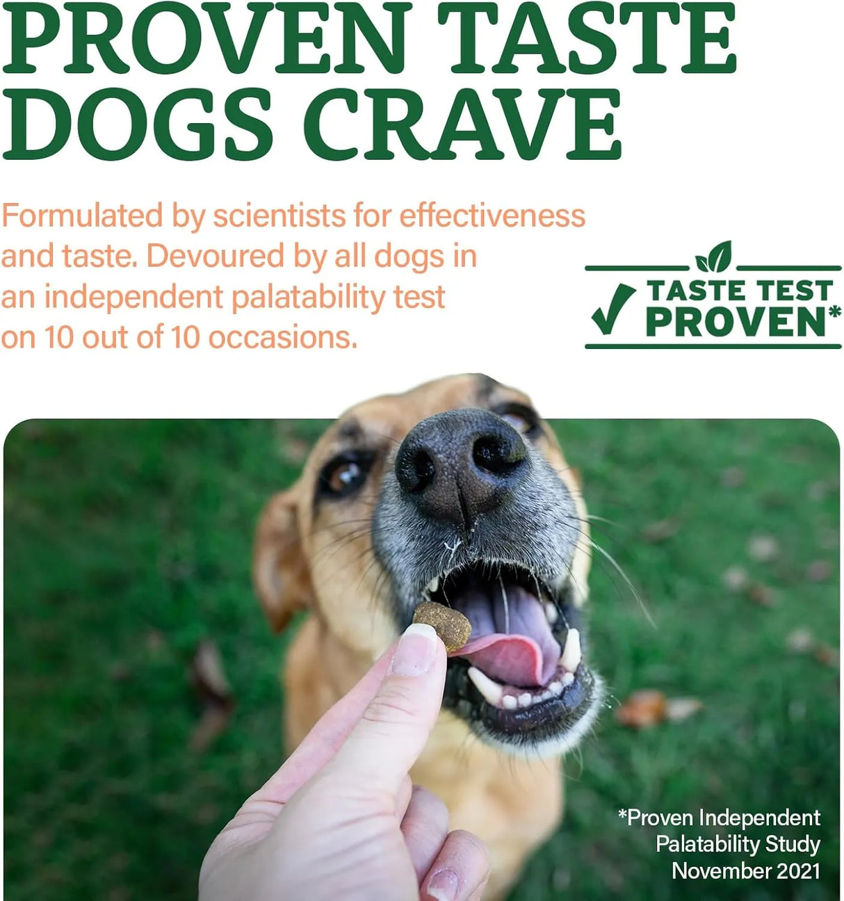 DOGGIE DAILIES - Doggie Dailies Senior Essentials Multivitamin for Dogs Bacon Flavor 120 Masticables - The Red Vitamin MX - Multivitamínicos Para Perros - {{ shop.shopifyCountryName }}