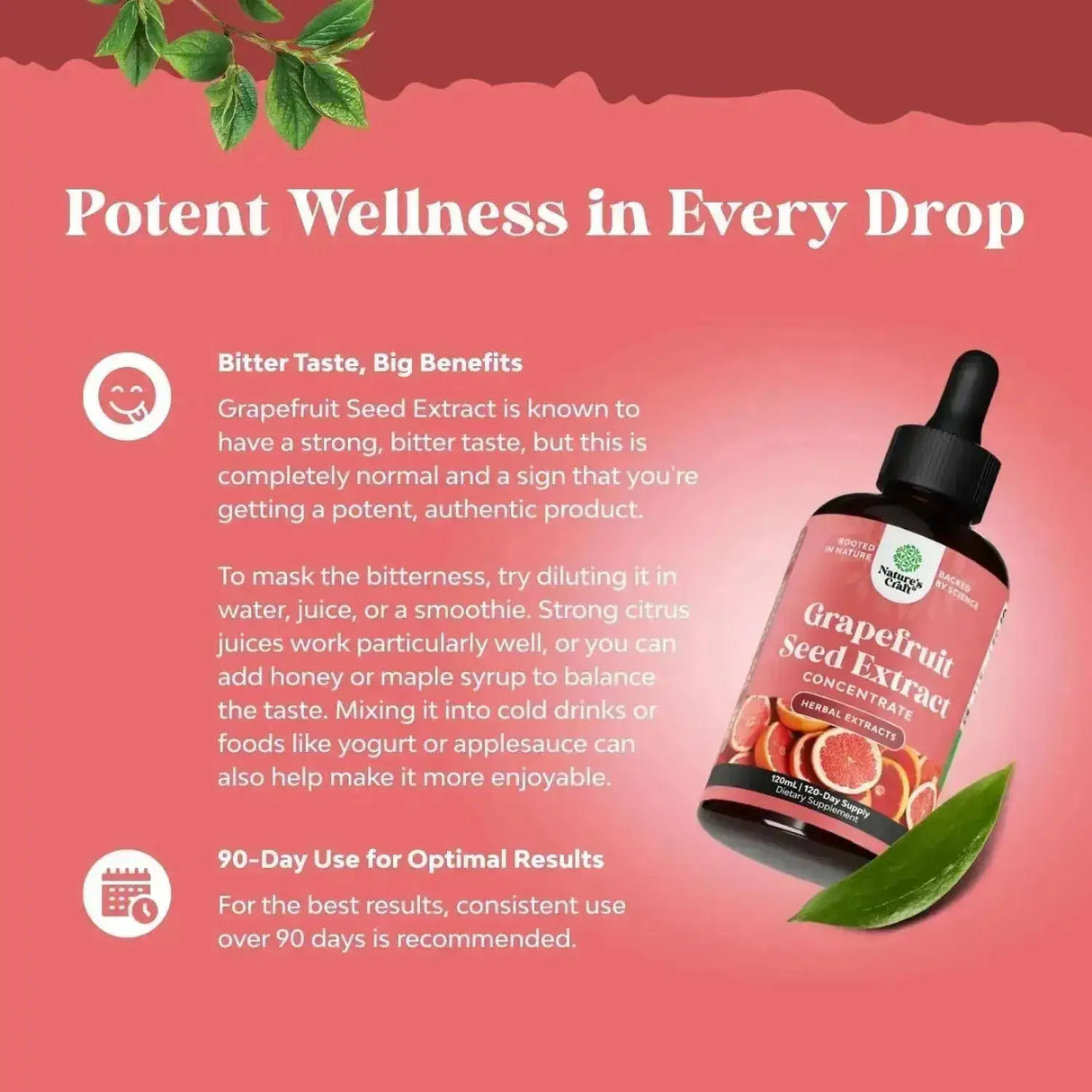 NATURES CRAFT - Natures Craft GSE Grapefruit Seed Extract Liquid 120Ml. - The Red Vitamin MX - Suplementos Alimenticios - {{ shop.shopifyCountryName }}