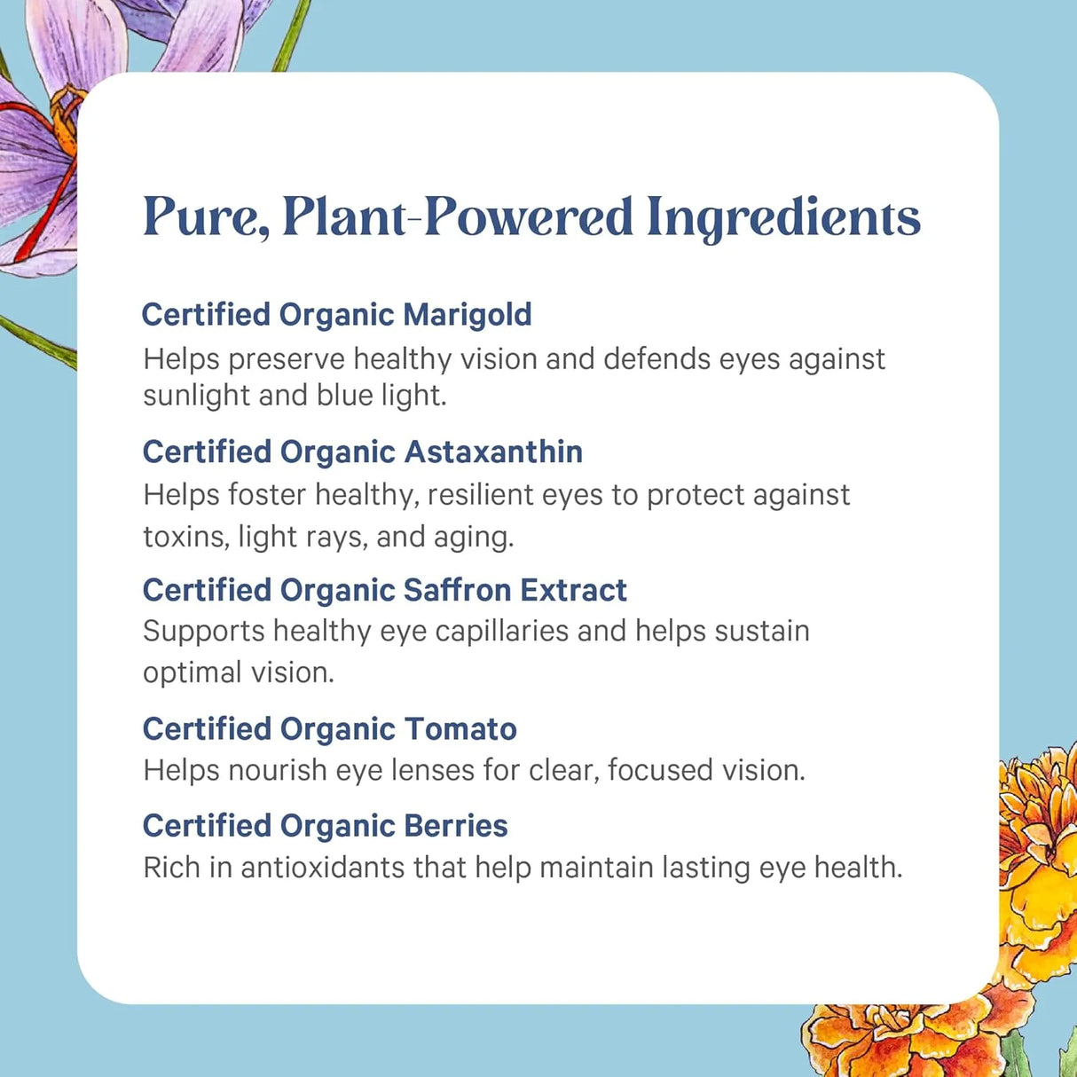 PURE SYNERGY - PURE SYNERGY Eye Protector 60 Capsulas - The Red Vitamin MX - Suplementos Alimenticios - {{ shop.shopifyCountryName }}