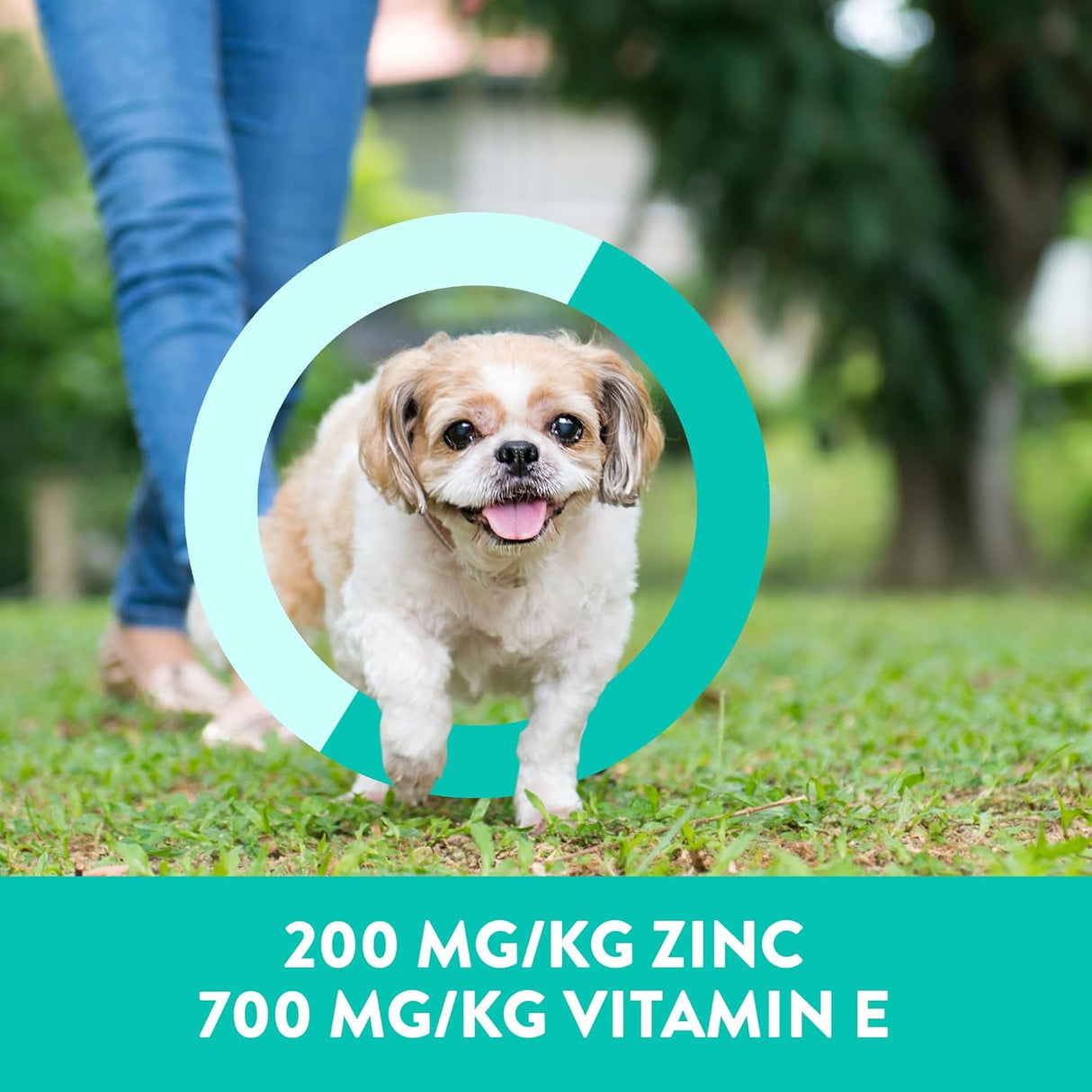 Dogswell Skin & Coat Mini Jerky Dog Treats Salmon 113Gr.