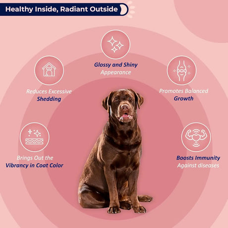 LIFE LINE PET NUTRITION - Life Line Pet Nutrition Wild Alaskan Salmon Oil Omega-3 16.5 Fl.Oz. - The Red Vitamin MX - Aceite De Pescado Para Perros - {{ shop.shopifyCountryName }}