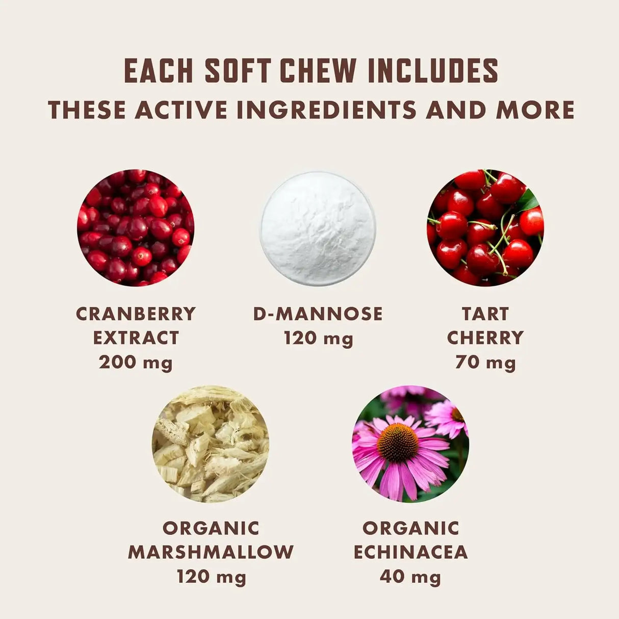 ROCCO AND ROXIE - Rocco and Roxie Dog UTI Treatment 90 Masticables - The Red Vitamin MX - Salud De Tracto Urinario Para Perros - {{ shop.shopifyCountryName }}