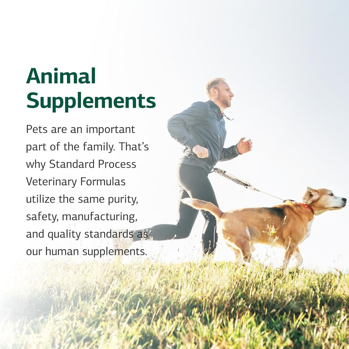 Standard Process Canine Musculoskeletal Support 120Gr.