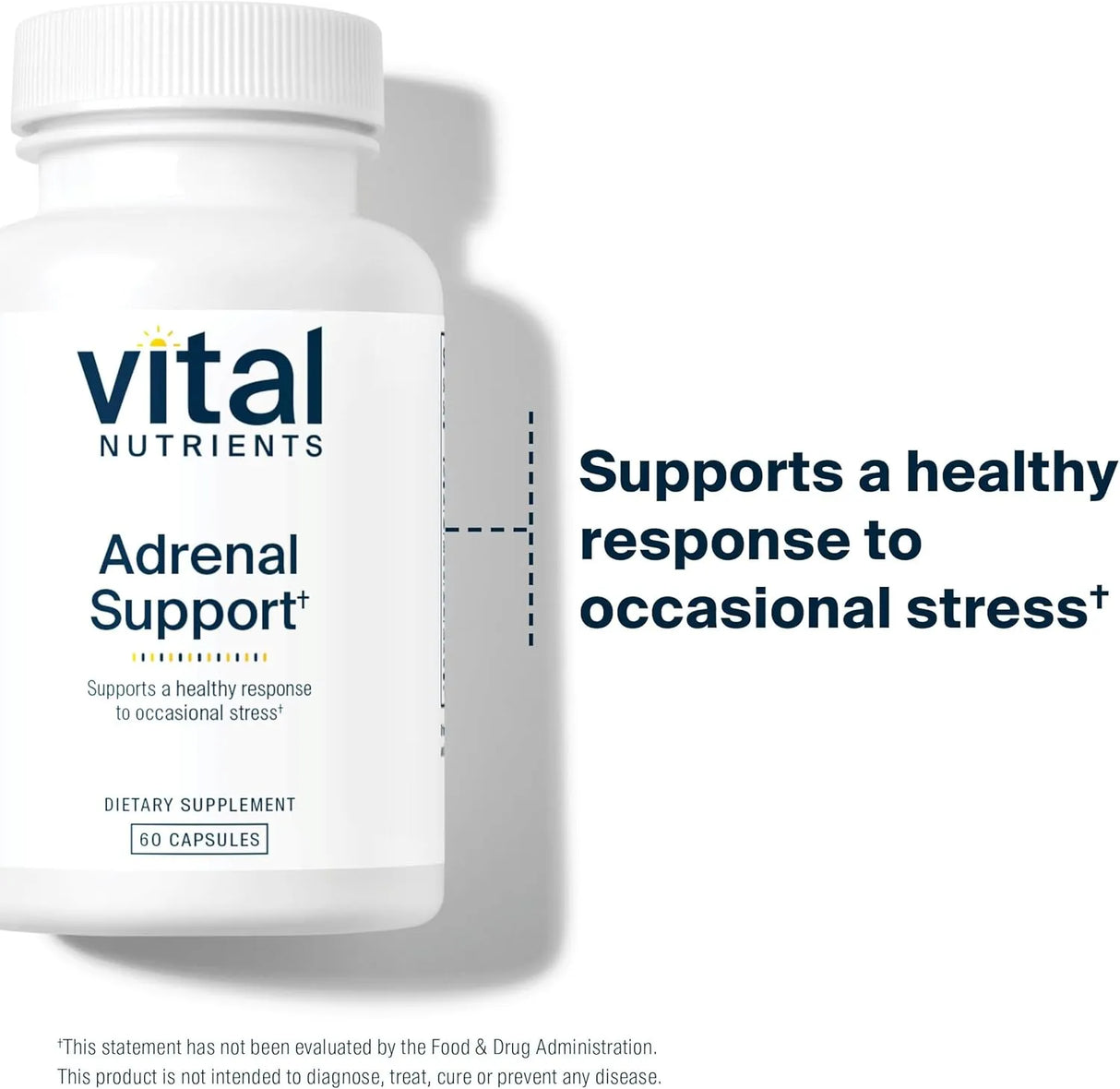 VITAL NUTRIENTS - Vital Nutrients Adrenal Support 60 Capsulas - The Red Vitamin MX - Suplementos Alimenticios - {{ shop.shopifyCountryName }}