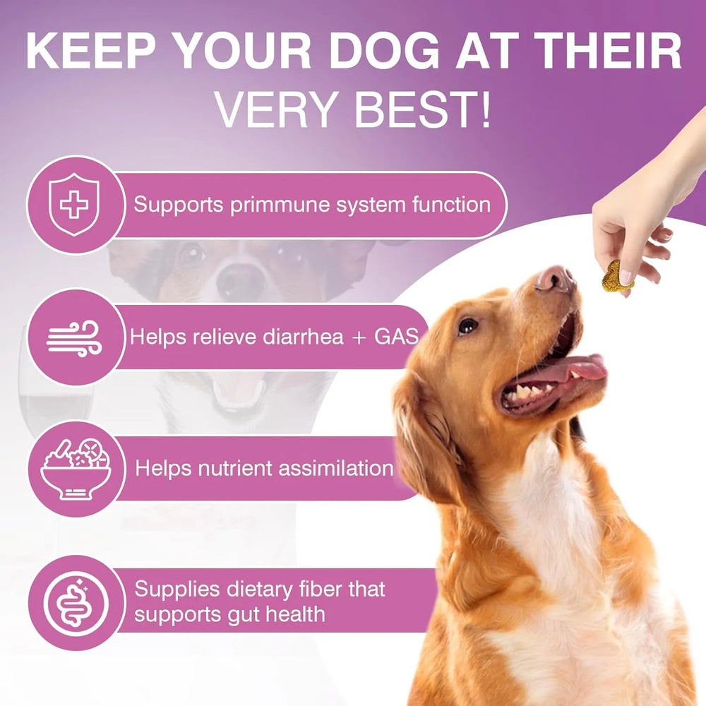 TTLXRL - TTLXRL Probiotics for Dogs 200 Tabletas Masticables - The Red Vitamin MX - Probióticos Para Perros - {{ shop.shopifyCountryName }}