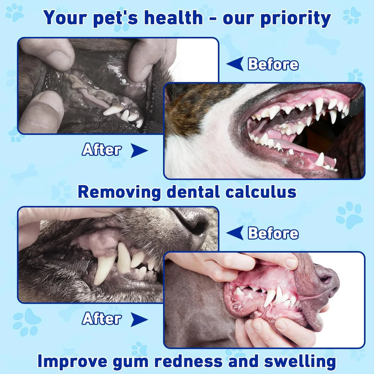 MIMO STYLE - Mimo Style Dog Dental Powder 80Gr. - The Red Vitamin MX - Cuidado Dental Para Perros - {{ shop.shopifyCountryName }}