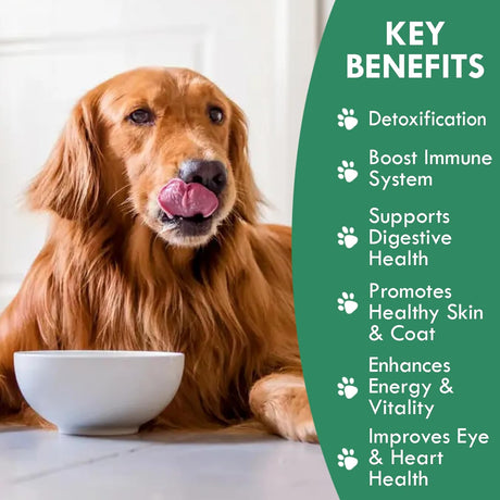 HOLISTIC BIN - Holistic Bin Canine Chlorella Tablets 100 Tabletas - The Red Vitamin MX - Suplementos Herbales Para Perros - {{ shop.shopifyCountryName }}