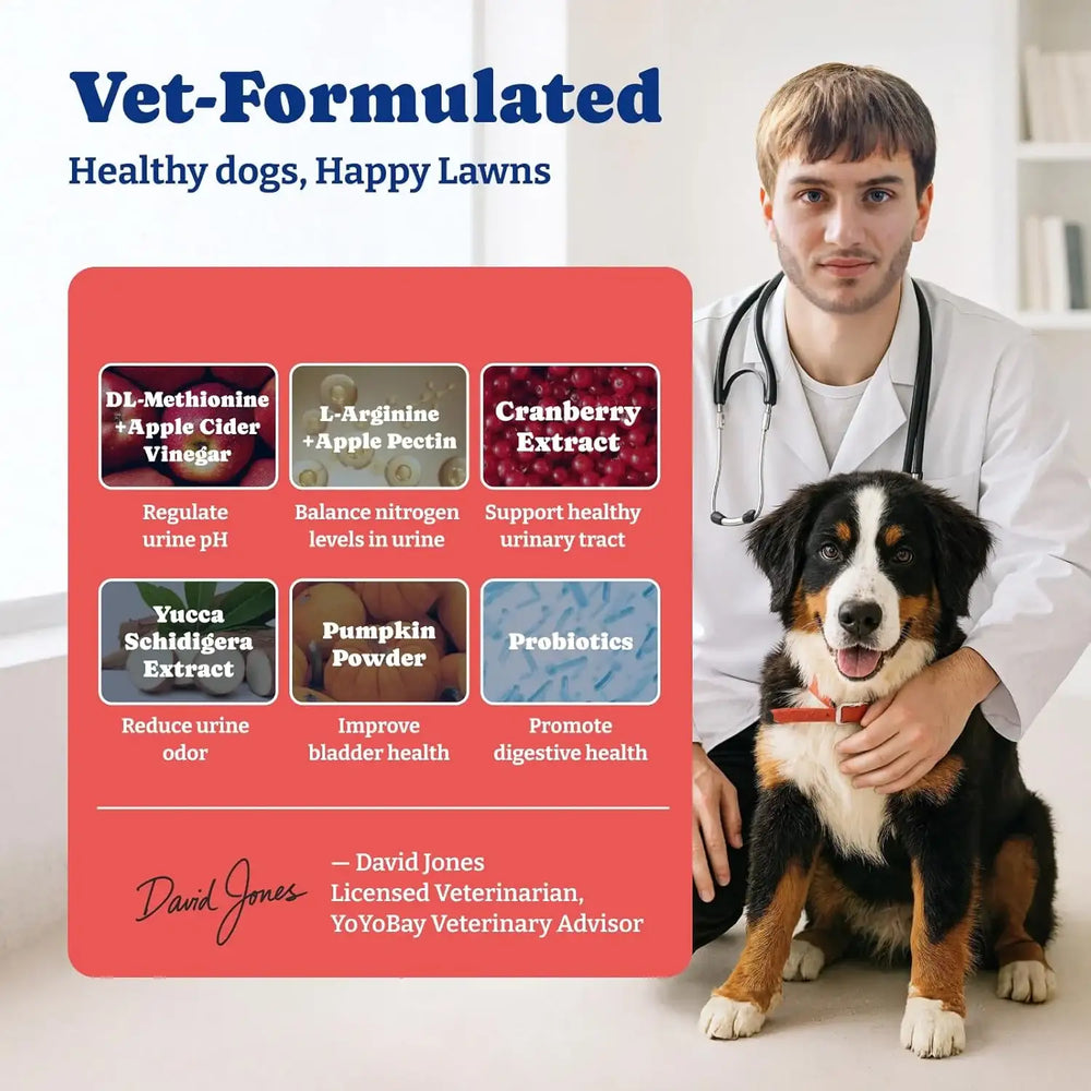 YOYOBAY - YoYoBay Dog Urine Neutralizer for Lawn 180 Masticables - The Red Vitamin MX - Salud De Tracto Urinario Para Perros - {{ shop.shopifyCountryName }}