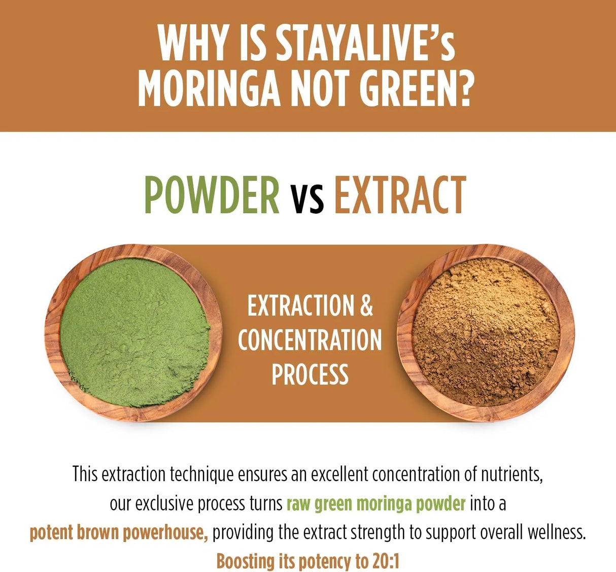 STAY ALIVE - STAY ALIVE Pure Moringa 20,000Mg. 120 Capsulas - The Red Vitamin MX - Suplementos Alimenticios - {{ shop.shopifyCountryName }}