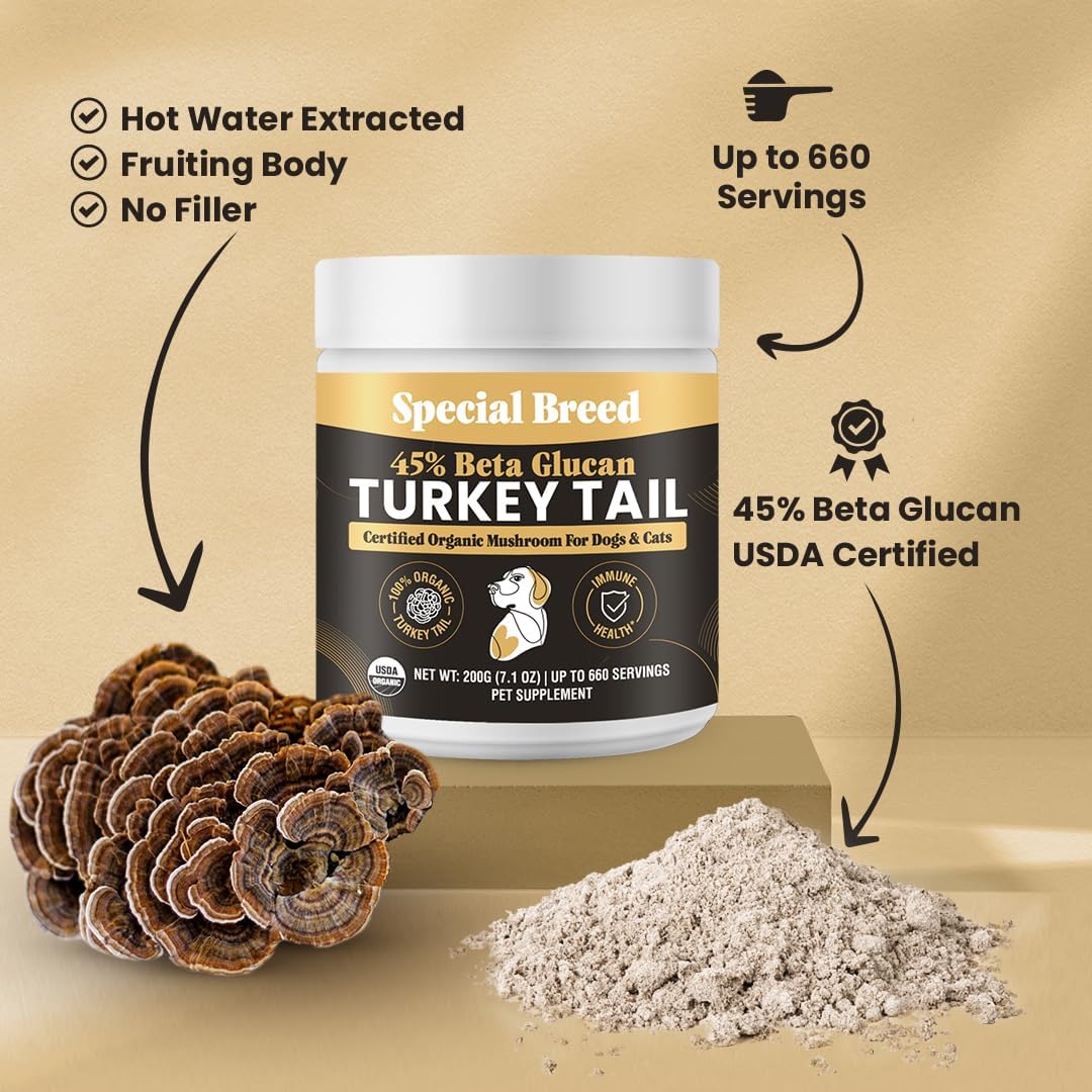 SPECIAL BREED - Special Breed Organic Turkey Tail Mushroom for Dogs 200Gr. - The Red Vitamin MX - Suplementos Herbales Para Perros - {{ shop.shopifyCountryName }}