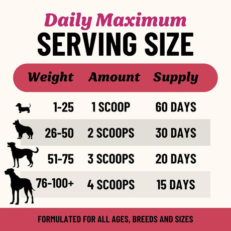 FIDO'S - Fido's Digestion Bone Broth for Dogs 60 Servicios 184Gr. - The Red Vitamin MX - Suplementos Herbales Para Perros - {{ shop.shopifyCountryName }}