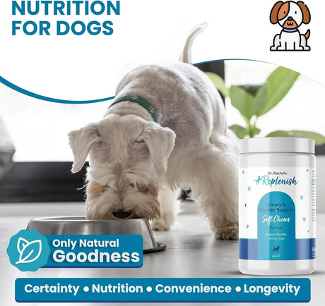 REPLENISH - Replenish Urinary Tract Chews for Dogs 60 Masticables - The Red Vitamin MX - Salud De Tracto Urinario Para Perros - {{ shop.shopifyCountryName }}