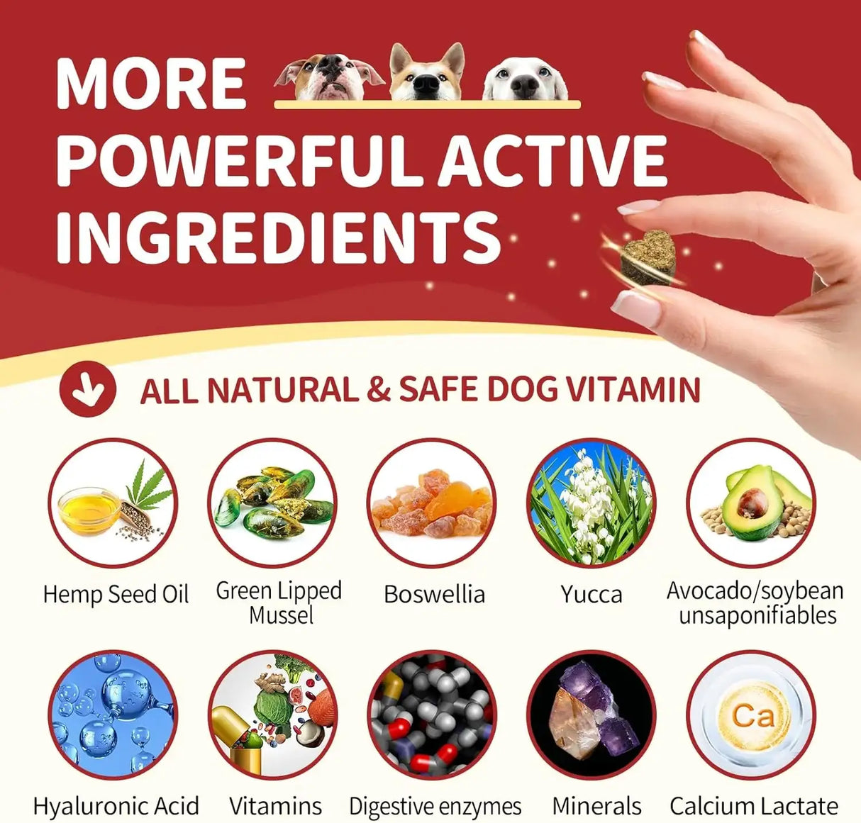 NATURE TARGET - NATURE TARGET Glucosamine with Chondroitin MSM for Dogs 120 Masticables - The Red Vitamin MX - Cuidado De Cadera Y Articulaciones Para Perros - {{ shop.shopifyCountryName }}